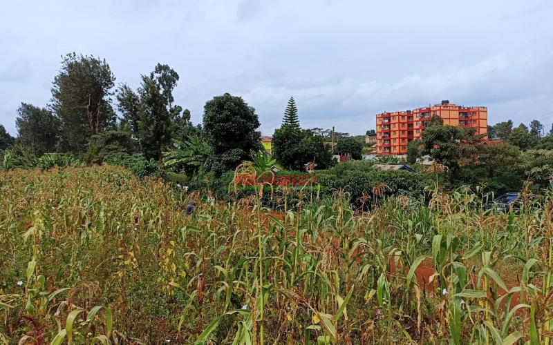 Commercial Plot For Sale In Kikuyu, Thogoto