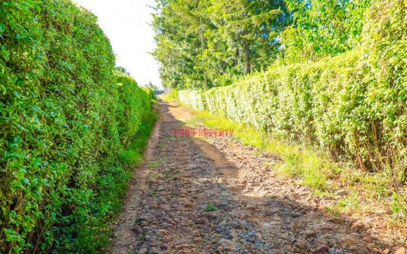 Prime Residential Plot In A Gated Community For Sale In Kikuyu, Lusigetti