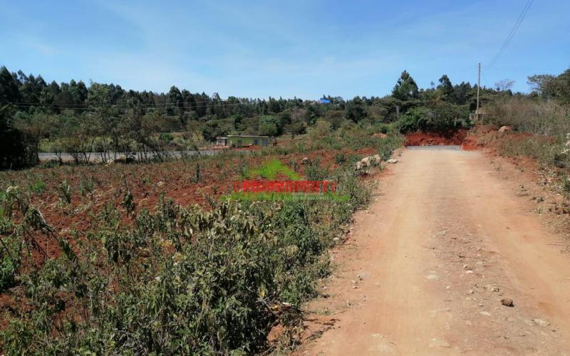 Prime Plot For Sale In Kikuyu, Kamangu.