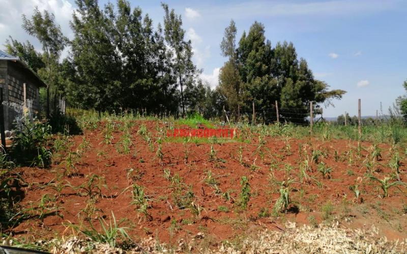 Prime Plot For Sale In Kikuyu, Kamangu.
