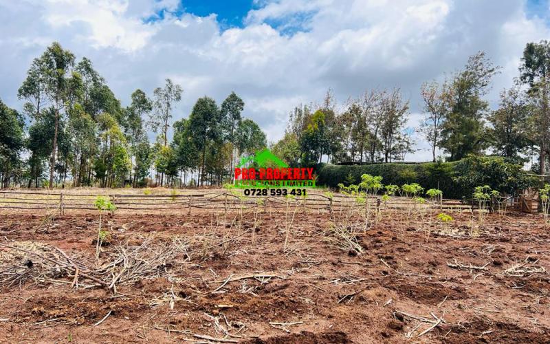 Residential Plots For Sale In Kamangu, thigio.