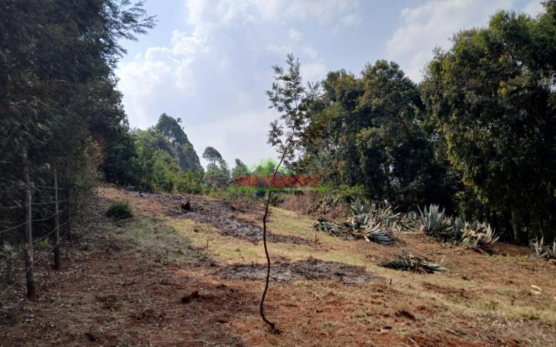 Prime Residential Plot In Thogoto