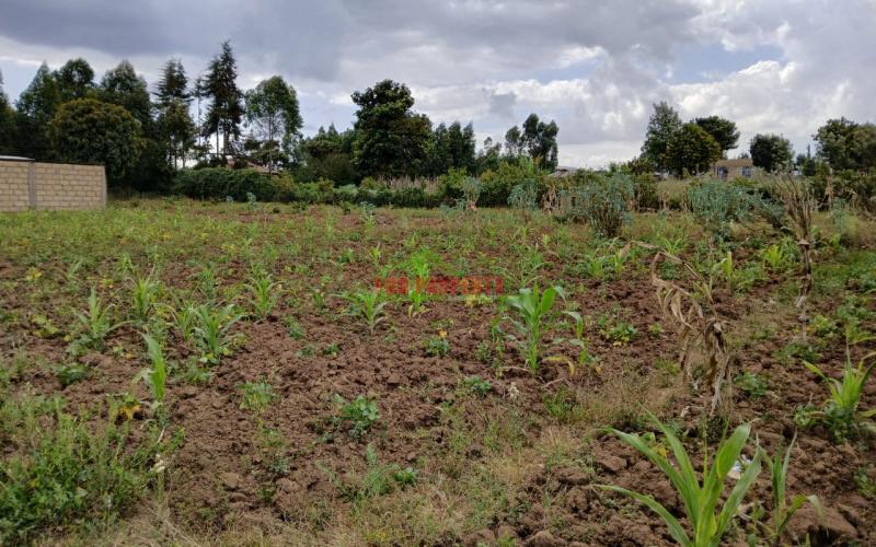 Prime Residential Plot In Kamangu