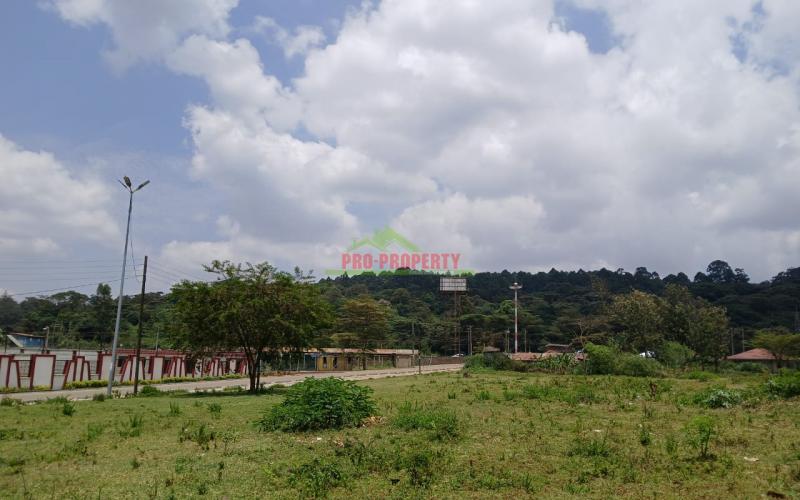 A Commercial Plot With High Foot Traffic In Karen End