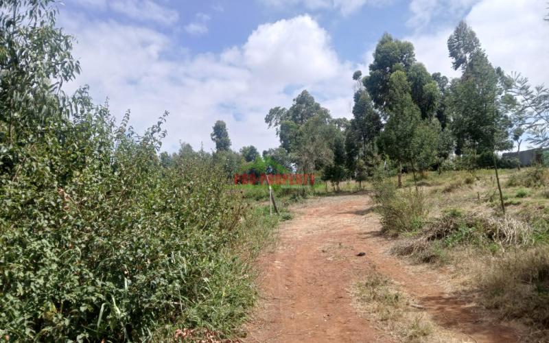 50x100ft Residential Plot In Lusingeti