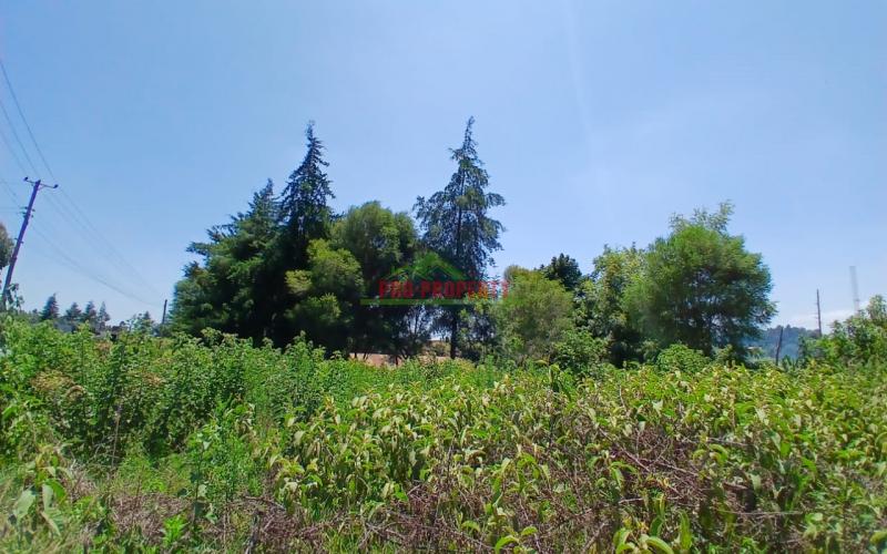 Prime Located Plot For Sale In Mugumo-ini Junction