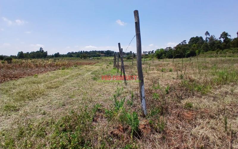 Prime Residential Plot In Kamangu