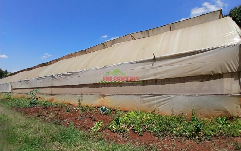 1/4acre Residential Plot For Sale