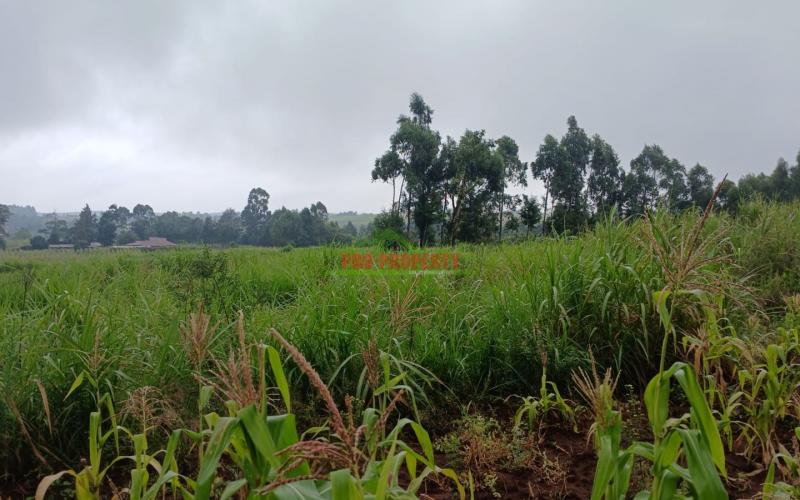 Prime 50by100ft Residential Plot For Sale In Kikuyu, Gikambura.