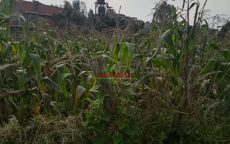 Prime Residential 50 By 100 Plot