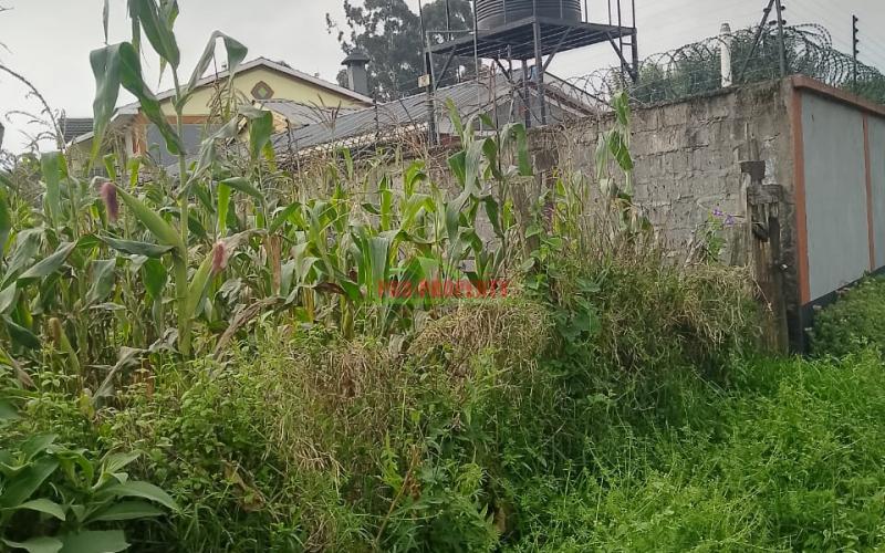 Prime Residential 50 By 100 Plot