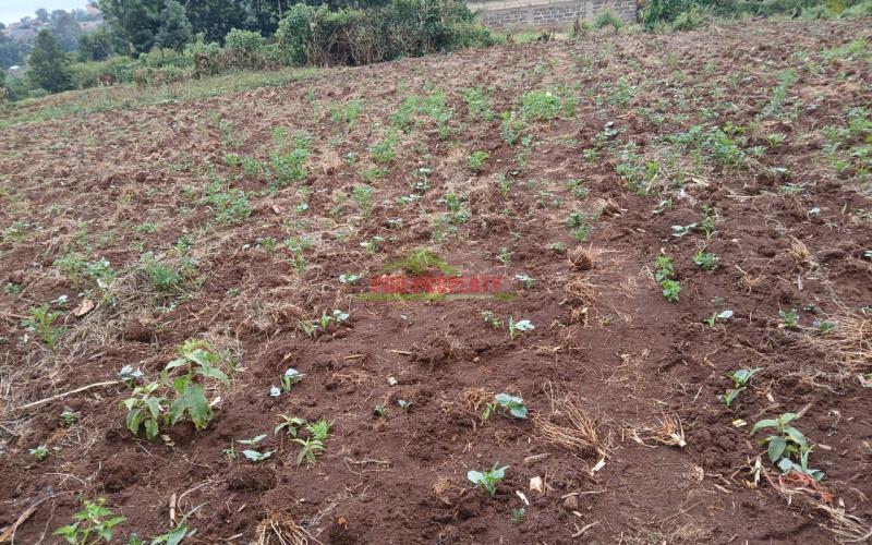 Prime Residential Plot In Cura Gitaru