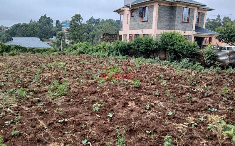 Prime Residential Plot In Cura Gitaru