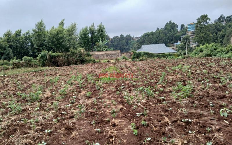 Prime Residential Plot In Cura Gitaru