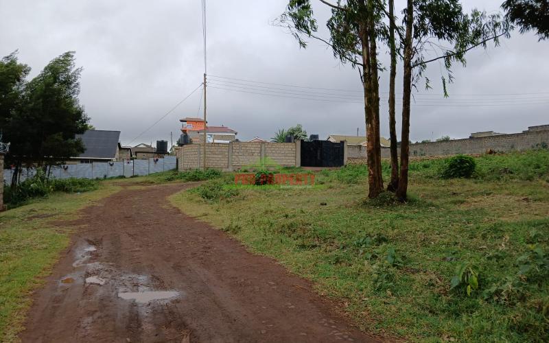 50×100ft  Residential Plot For Sale In Muthure Gitaru