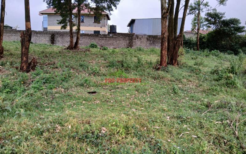 50×100ft  Residential Plot For Sale In Muthure Gitaru