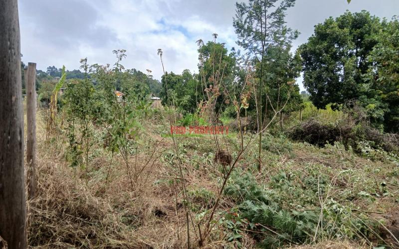 Prime Residential Plot In Mugumo-ini