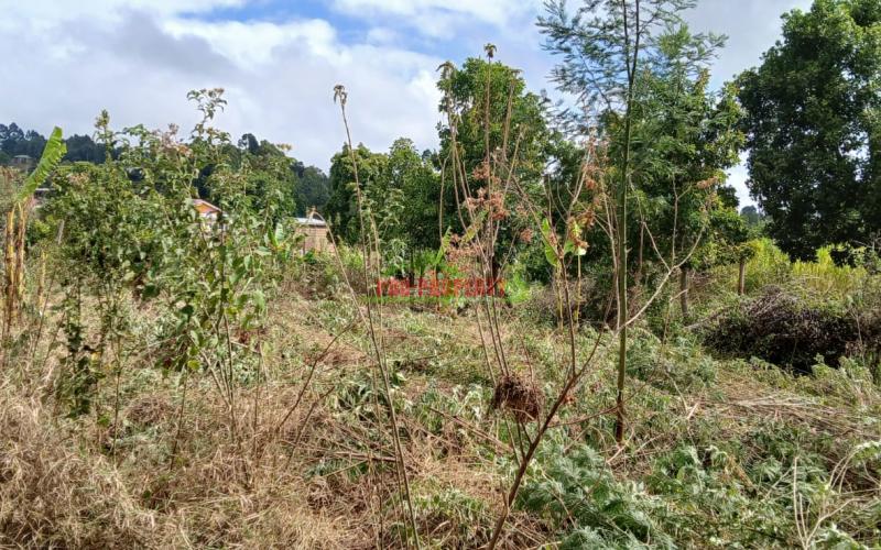 Prime Residential Plot In Mugumo-ini