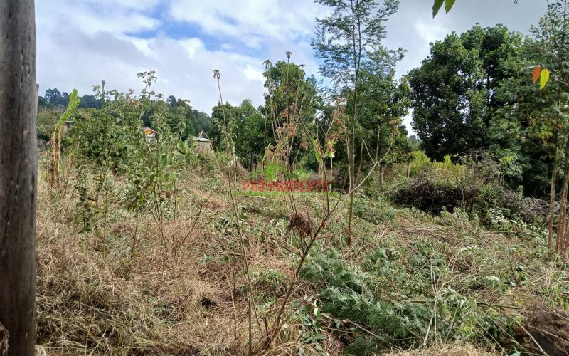Prime Residential Plot In Mugumo-ini