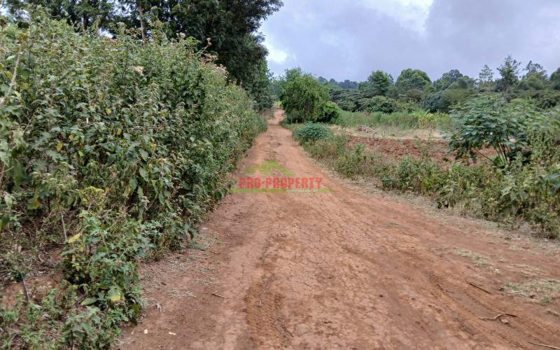 Residential Plot For Sale In Lusingeti