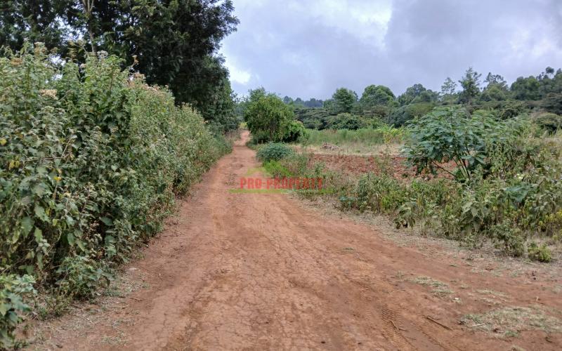 Residential Plot For Sale In Lusingeti
