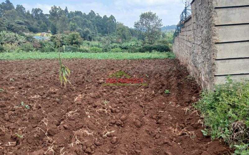 Prime  100 By 100ft   Residential  Plot For  Sale In  Kikuyu,ondiri