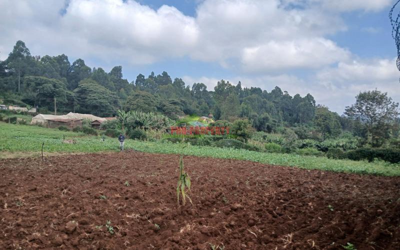 Prime  100 By 100ft   Residential  Plot For  Sale In  Kikuyu,ondiri