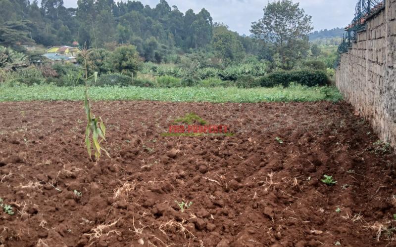 Prime  100 By 100ft   Residential  Plot For  Sale In  Kikuyu,ondiri