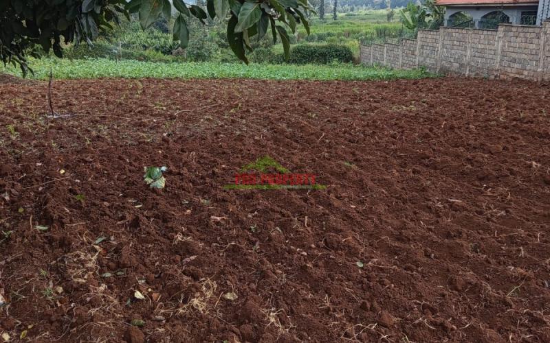 Prime Residential 100 By 100 Plot For Sale In Kikuyu Ondiri