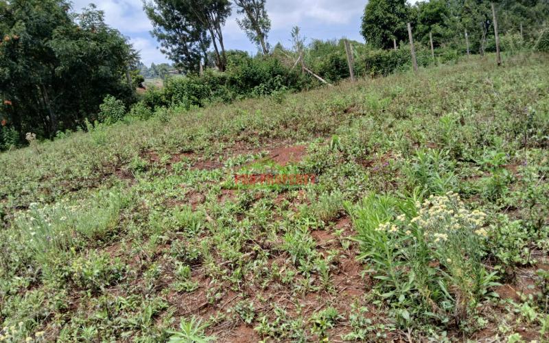 Prime Residential Plot For Sale In Mugumo-ini.