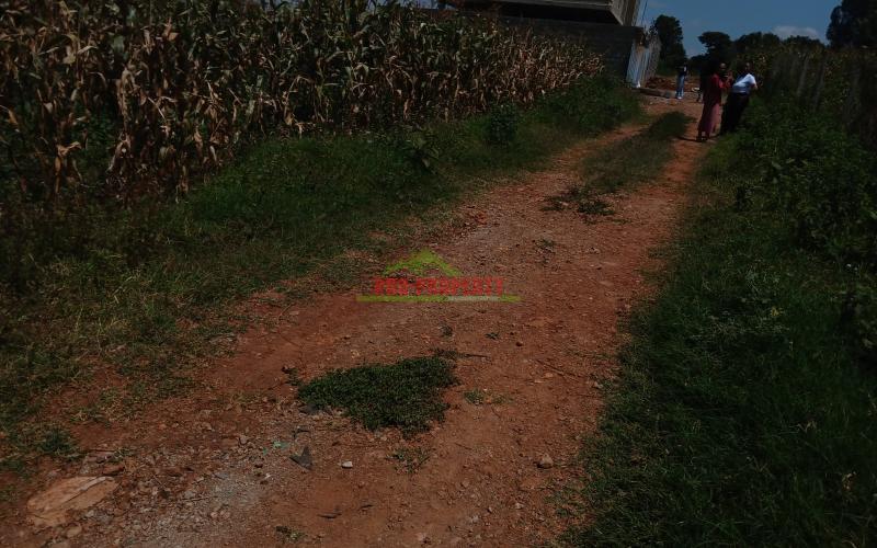 Plots For Sale In Gikambura