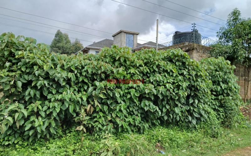 Residential Plot For Sale In Kamangu