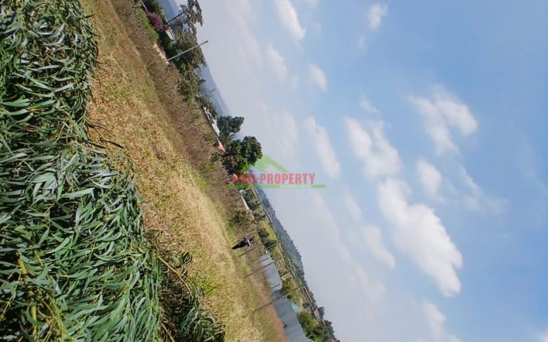 Prime 50 By 100 Residential Plot For Sale In Kikuyu Kamangu