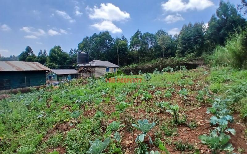 Prime 50 By 100 Residential Plot In Kikuyu Migumoini Area