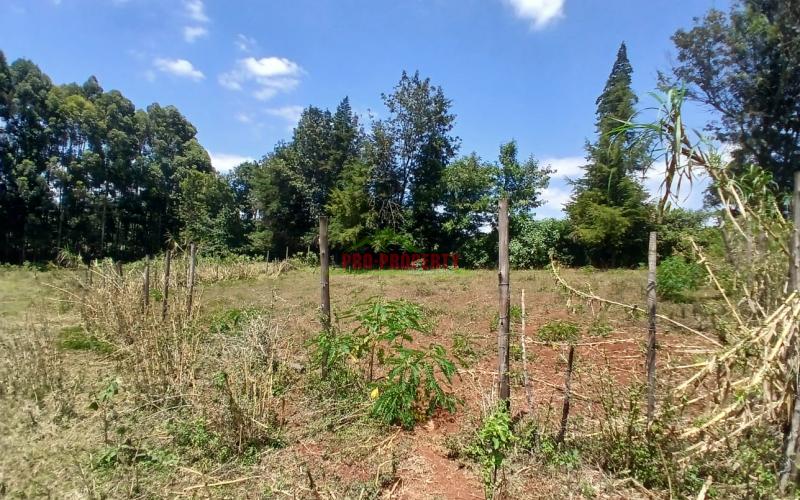 Prime 50 By 100 Residential Plots For Sale In Kikuyu Ondiri