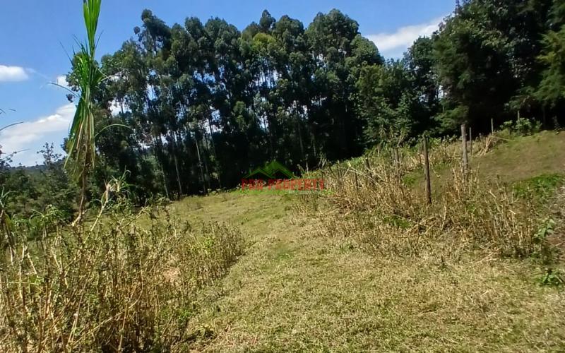 Prime 50 By 100 Residential Plots For Sale In Kikuyu Ondiri