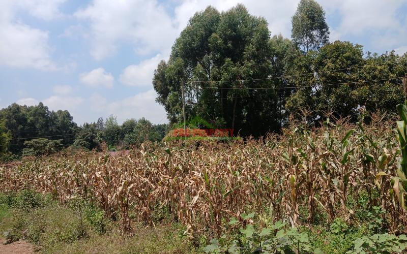 Prime  40 By 80 Plot For Sale In Kikuyu Gikambura