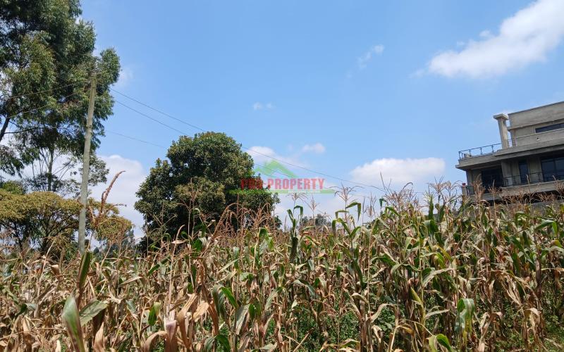Prime  40 By 80 Plot For Sale In Kikuyu Gikambura