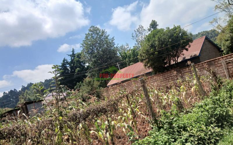 Prime  40 By 80 Plot For Sale In Kikuyu Gikambura