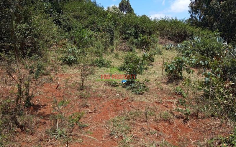 Prime Residential 50 By 100 Plot For Sale In Kikuyu Gikambura(mai-ii-ihii)