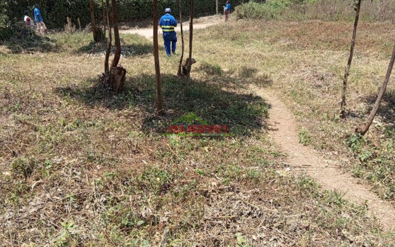 Prime Residential 50 By 100 Plot For Sale In Kikuyu Kamangu