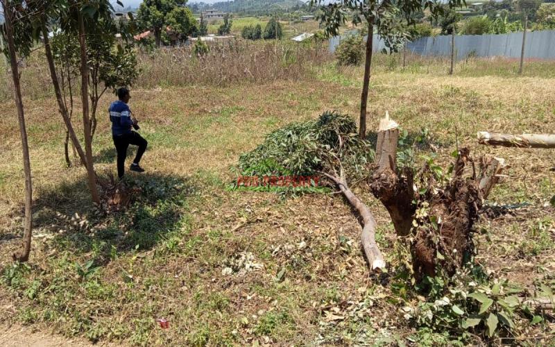 Prime Residential 50 By 100 Plot For Sale In Kikuyu Kamangu