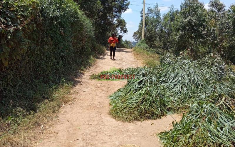 Prime residential 50 by 100 plot for sale in Kikuyu Kamangu