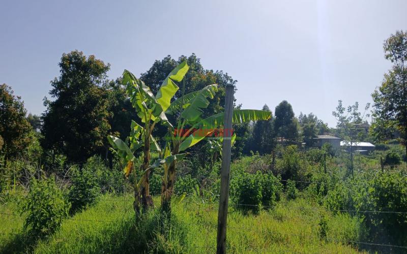 Residential Plot In Mugumo-ini