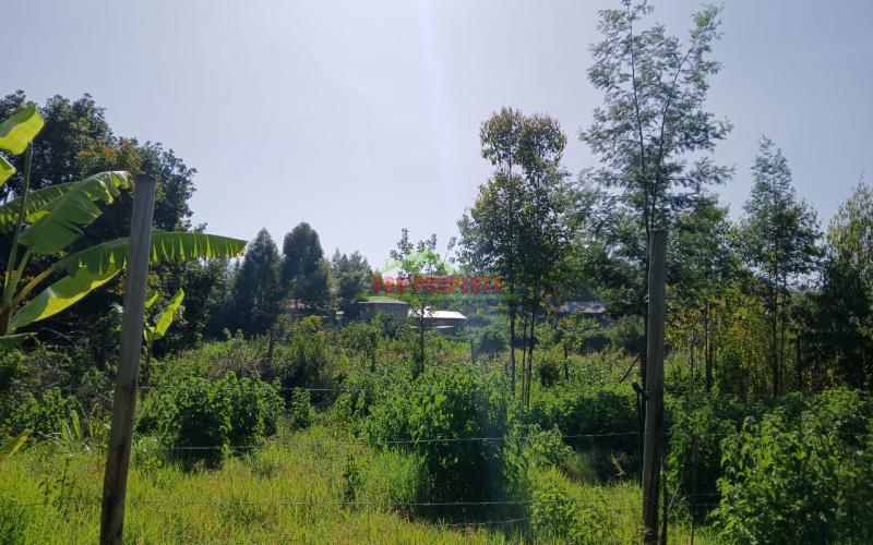 Residential Plot In Mugumo-ini