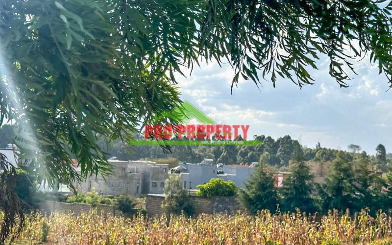 Prime Plot For Sale In Kikuyu (ready To Build)