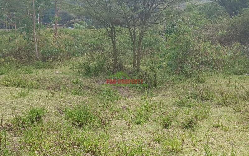 Real Estate Investment Opportunity In Karen-end