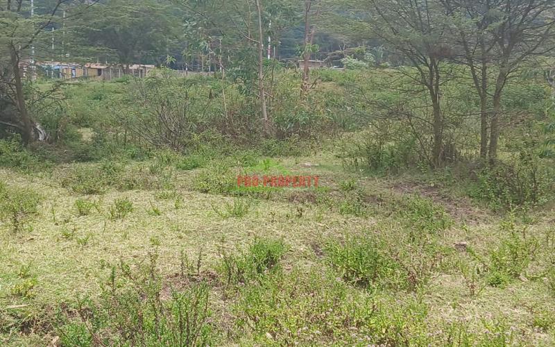 Real Estate Investment Opportunity In Karen-end