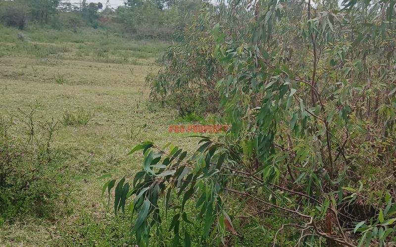 Real Estate Investment Opportunity In Karen-end