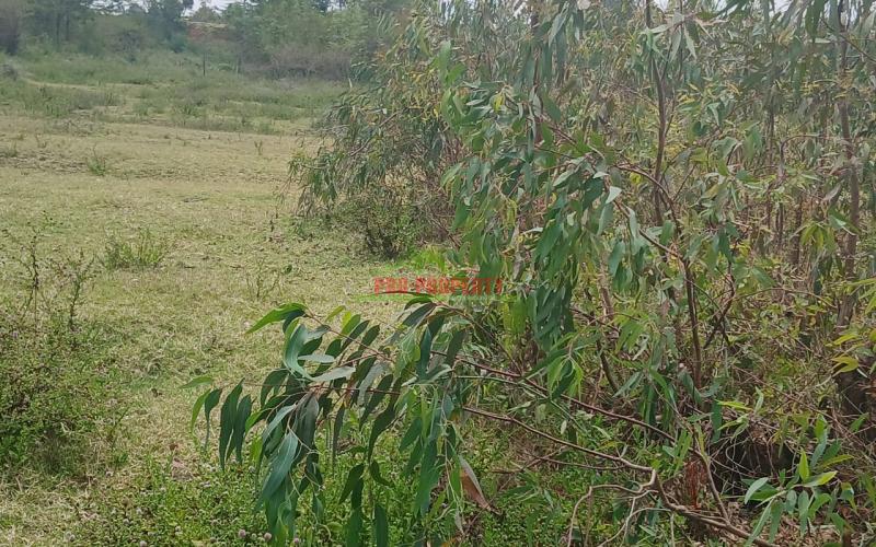 Real Estate Investment Opportunity In Karen-end